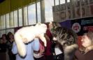  BEST in SHOW -  .  NIFFERTITI  PERf 24, .  .  LEVIS SWEET ALMOND  PER d33,  .  .