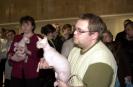     ,         ZORISLAV DON TAIS BABY STAR  DSXe.     MAKHRAM DON EDELVEIS  DSXe21