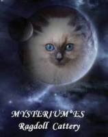 Mysterium Ragdoll